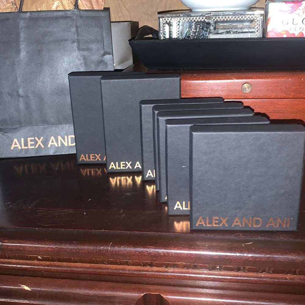 Alex and ani box & bag